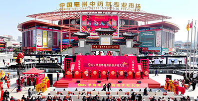 2024第40屆安徽亳州中醫藥博覽會(huì )